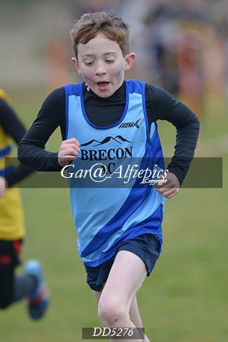 Gwent League CC U11&#39;s Boy&#39;s