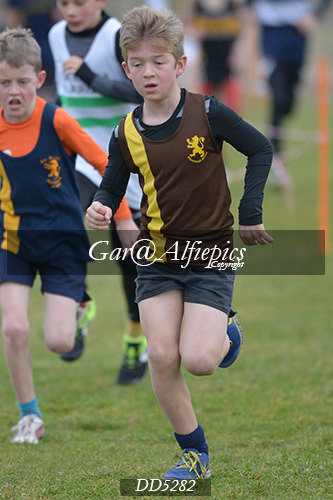 Gwent League CC U11&#39;s Boy&#39;s