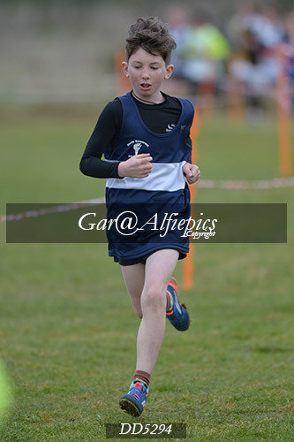 Gwent League CC U11&#39;s Boy&#39;s