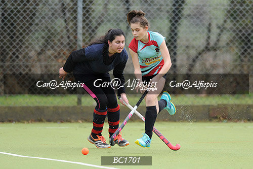 Carmarthen ladies v Penarth Ladies