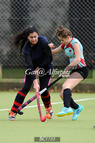 Carmarthen ladies v Penarth Ladies