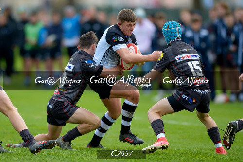 Scarlets East/West,  Ospreys East/West U16&#39;s Festival