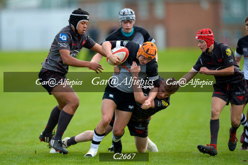 Scarlets East/West,  Ospreys East/West U16&#39;s Festival