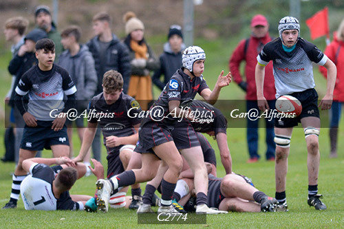 Scarlets East/West,  Ospreys East/West U16&#39;s Festival