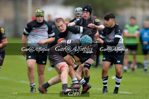 Scarlets East/West,  Ospreys East/West U16&#39;s Festival