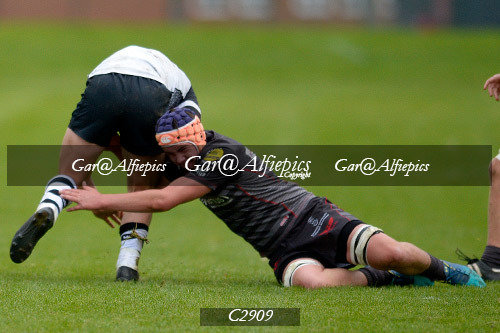 Scarlets East/West,  Ospreys East/West U16&#39;s Festival