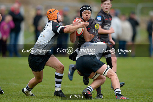 Scarlets East/West,  Ospreys East/West U16&#39;s Festival