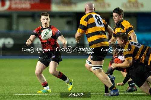 South Wales Wild Cats v Newport District XV
