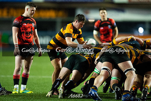 South Wales Wild Cats v Newport District XV