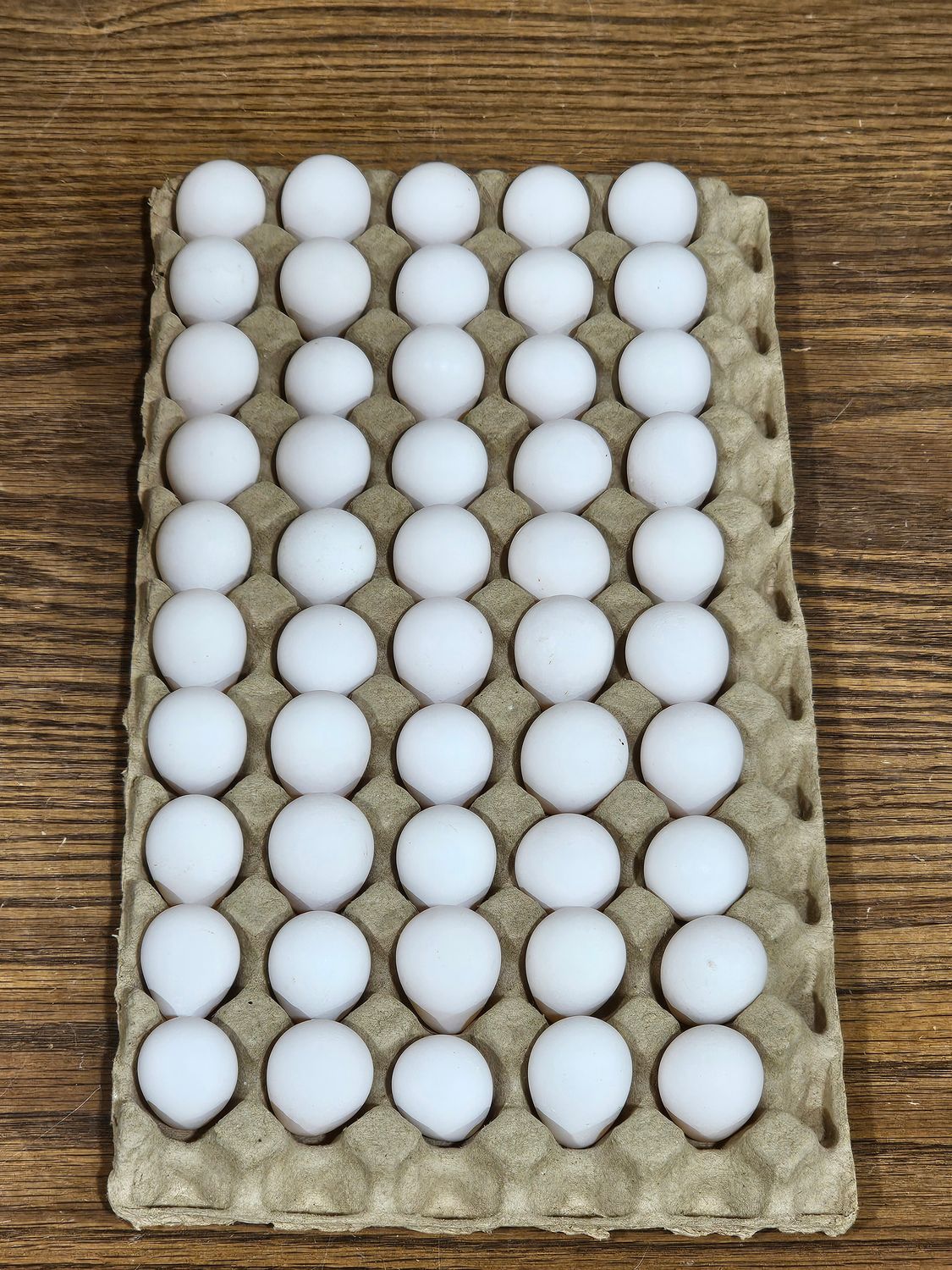 Quantity: 100 - Northern Bobwhite Quail Eggs - SHIPPED ONLY
