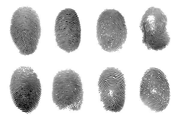 FBI .EFT Digital Finger Print Card, NFA Paperwork Picture