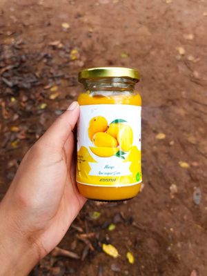 mango plan jam