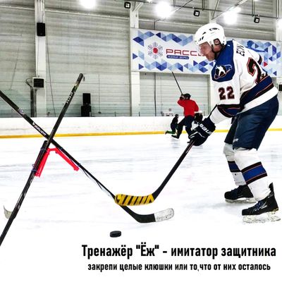Ёж
