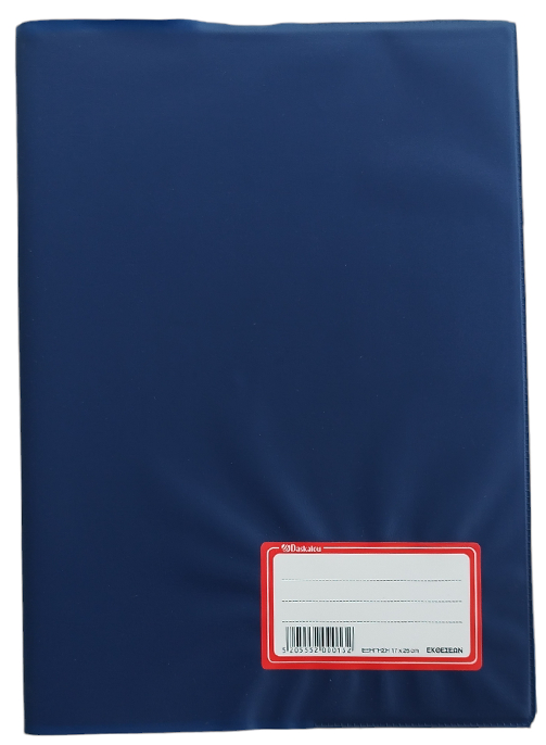 Report notebook