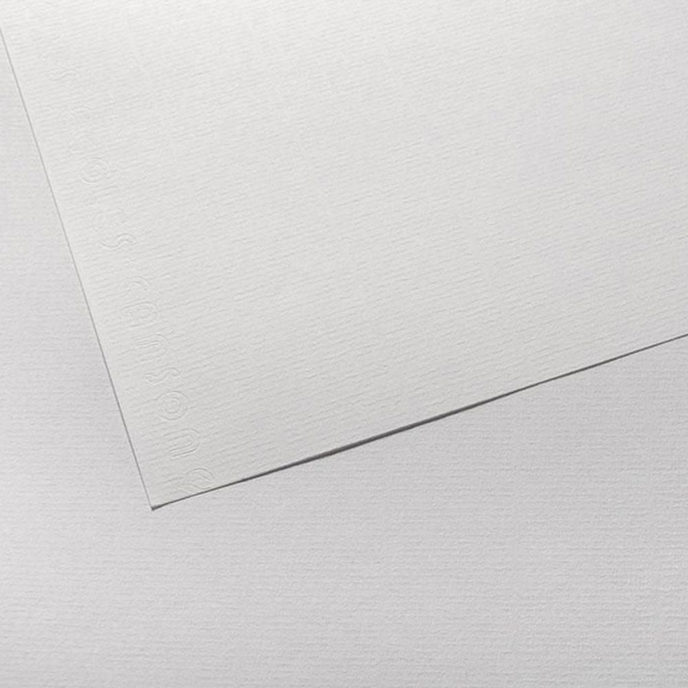Canson Ingres Vidalon 100 gsm 50x65cm