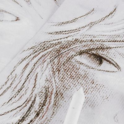 Canson Ingres Vidalon Drawing Paper 100gsm 50x65cm for Pastel Charcoal