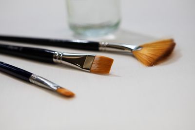 Painting Brushes for Artists