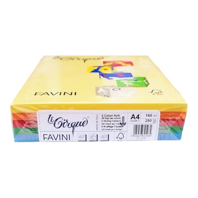 Cardboard A4 160 gr 250 sheets