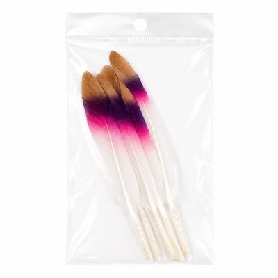 Decorative Two-Tone Craft Feathers 10 Pieces Decorative Two-Tone Craft Feathers 10 Pieces