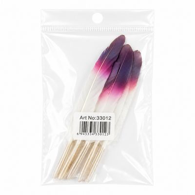 Decorative Two-Tone Craft Feathers 10 Pieces