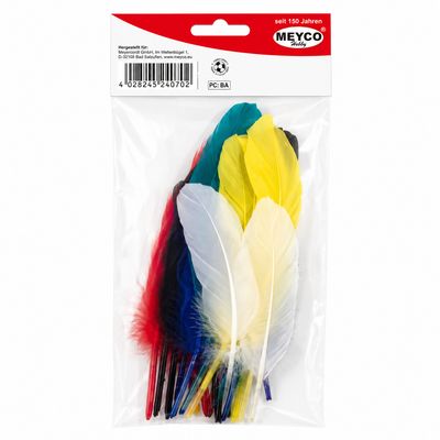 Meyco Colorful Decorative Feathers 17 Pieces