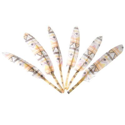 Colored Goose Feathers 15-17cm Pack of 6