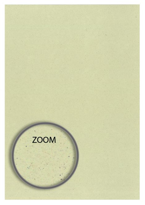Eco Kiwi A4 Cardstock 250gsm (Pack of 10)