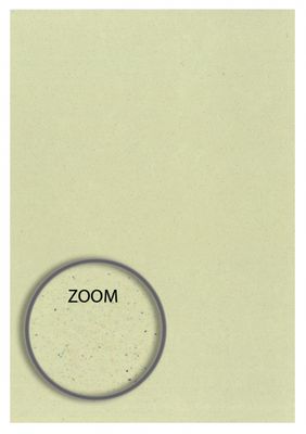 Eco Kiwi A4 Cardstock 250gsm (Pack of 10)