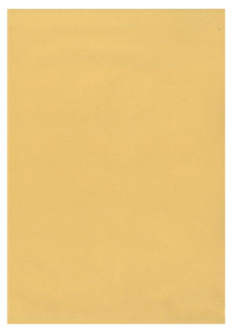 Translucent Paper A4 90gsm  9 Color Options
