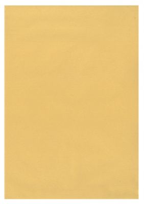 Translucent Paper A4 90gsm  9 Color Options