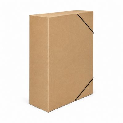 Salko Ecological Archive Box with Elastic Closure 25x33x8cm