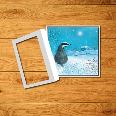 Badger in the Snow