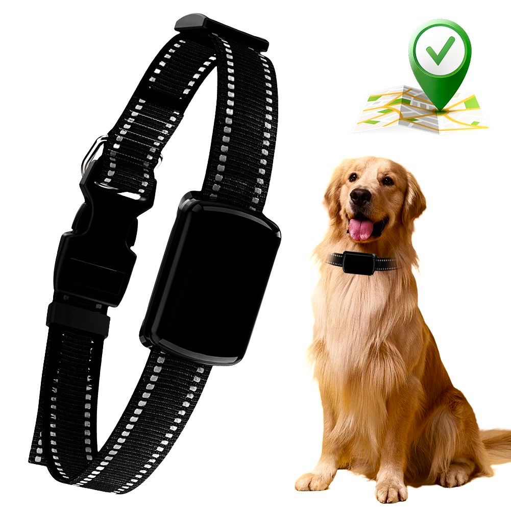 GPS Fence Dog Collar – Localizador inteligente con cerca virtual y rastreo en tiempo real para mascotas