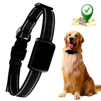 GPS Fence Dog Collar – Localizador inteligente con cerca virtual y rastreo en tiempo real para mascotas