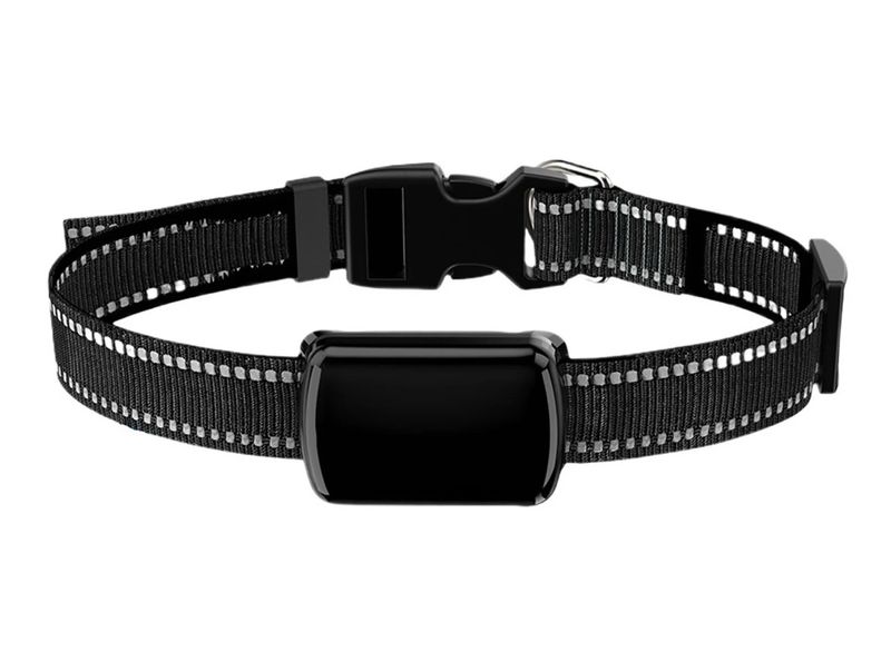 GPS Fence Dog Collar – Localizador inteligente con cerca virtual y rastreo en tiempo real para mascotas