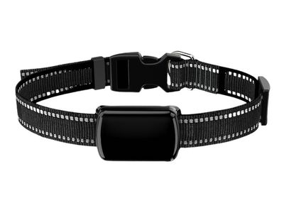 GPS Fence Dog Collar – Localizador inteligente con cerca virtual y rastreo en tiempo real para mascotas