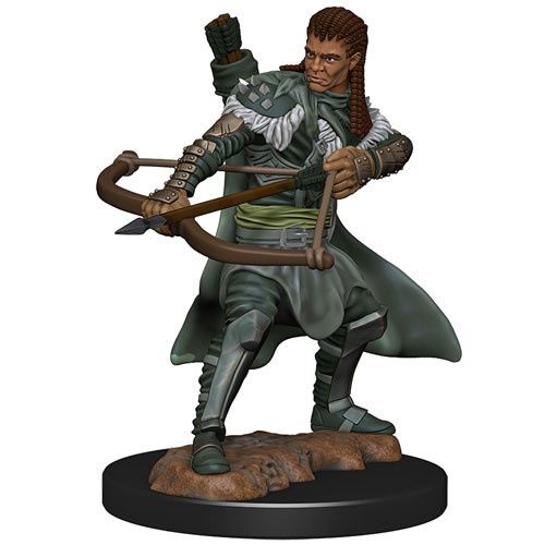 Dungeons &amp; Dragons: Icons of the Realms- Human Ranger
