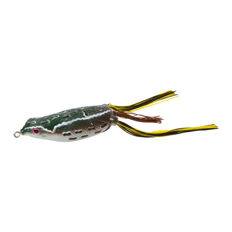 Zoom Hollow Belly Frog
