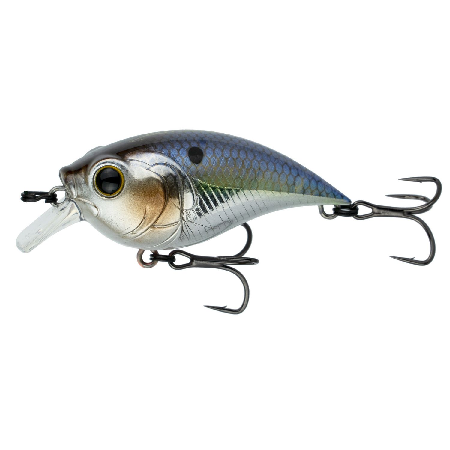 6th Sense Curve Finesse Squarebill , Color: Chrome Threadfin
