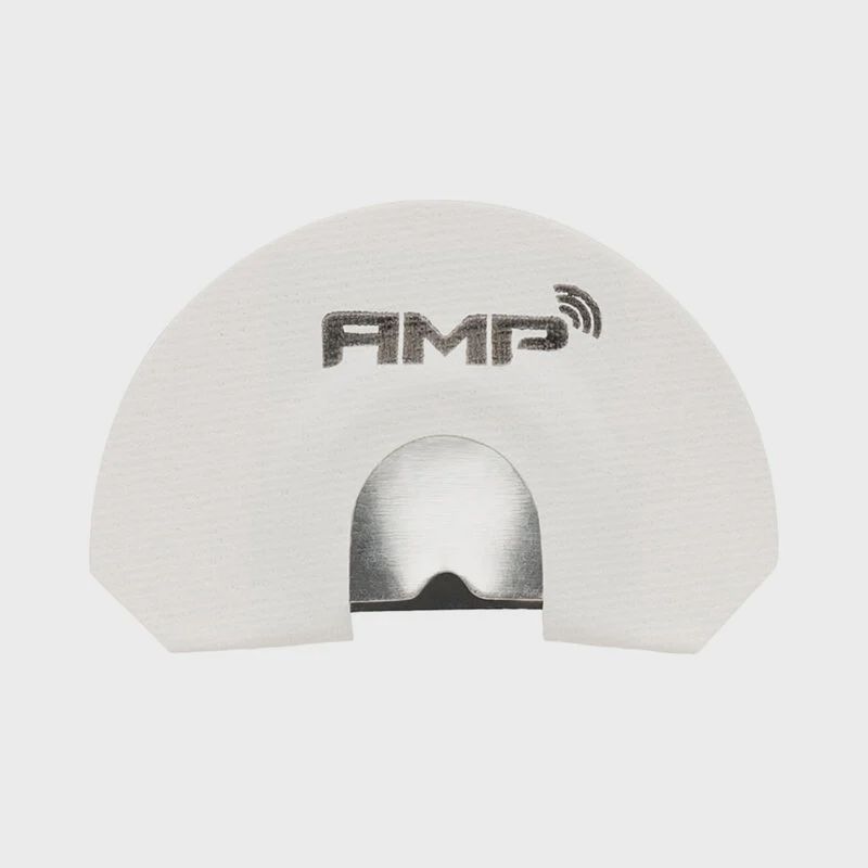 Phelps Amp- White