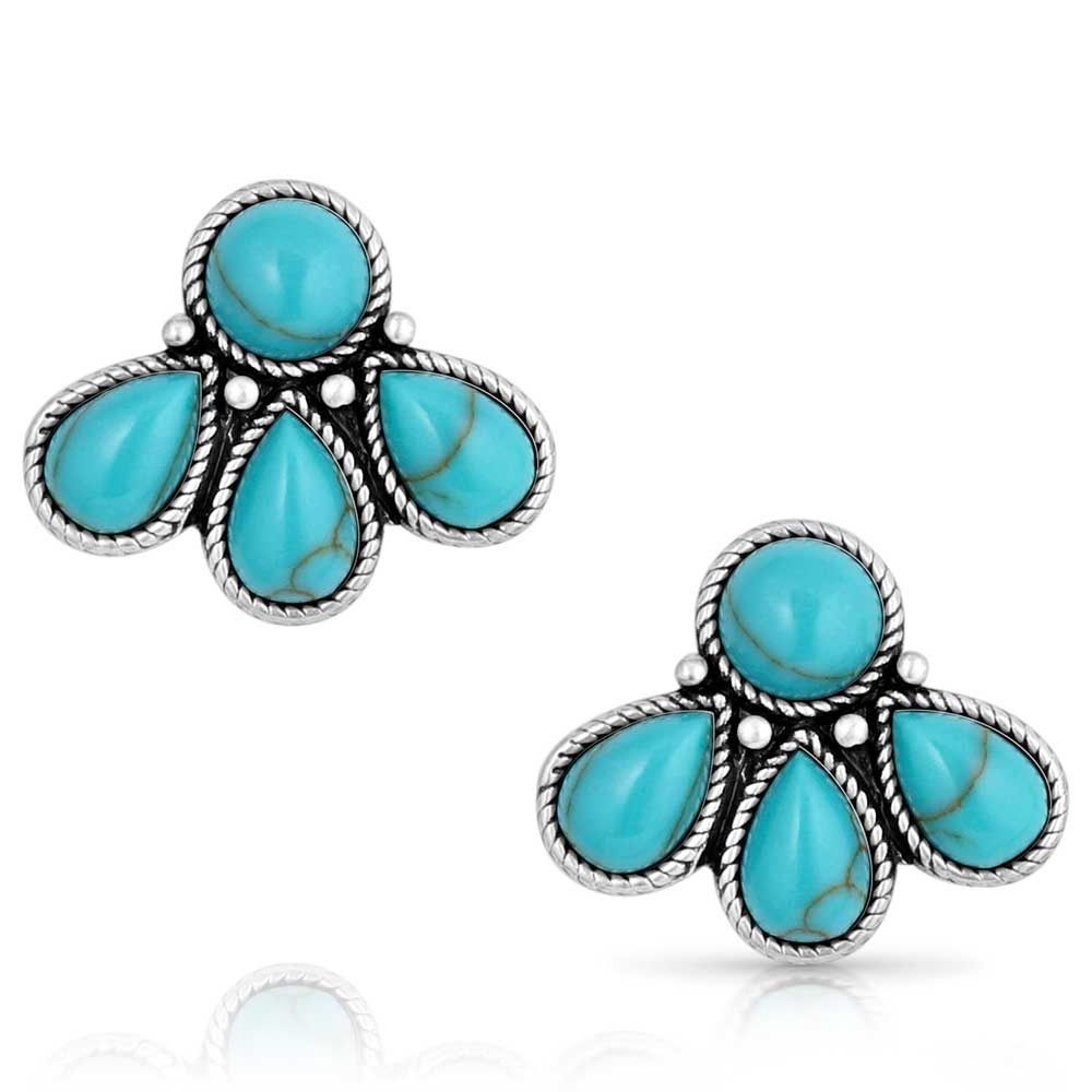 Montana Silversmith Earrings- Natures Wonder Turquoise