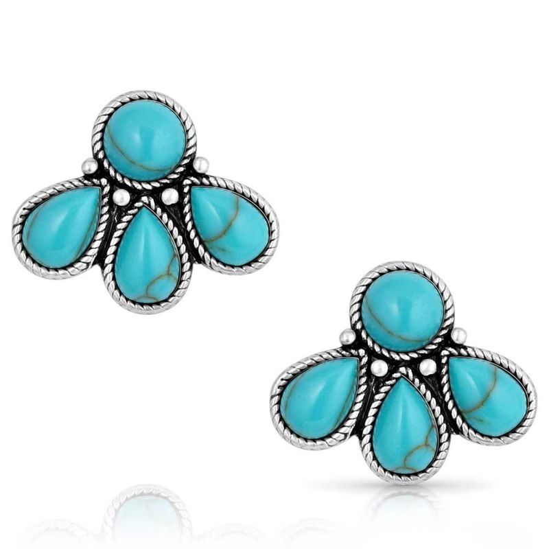 Montana Silversmith Earrings- Natures Wonder Turquoise