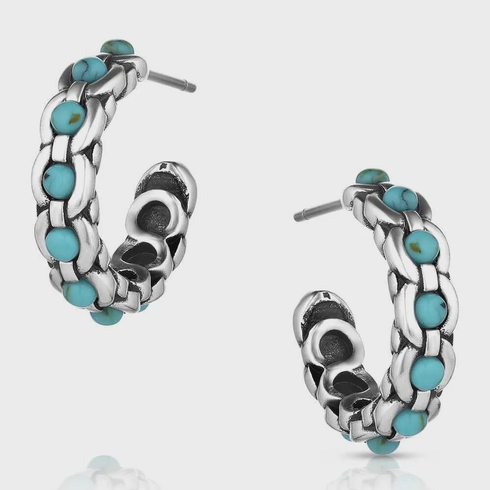 Montana Silversmith Earrings- Center Of It All