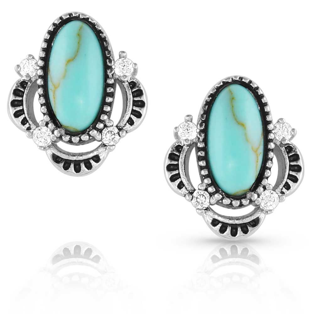 Montana Silversmith Earrings- Turquoise Treasure