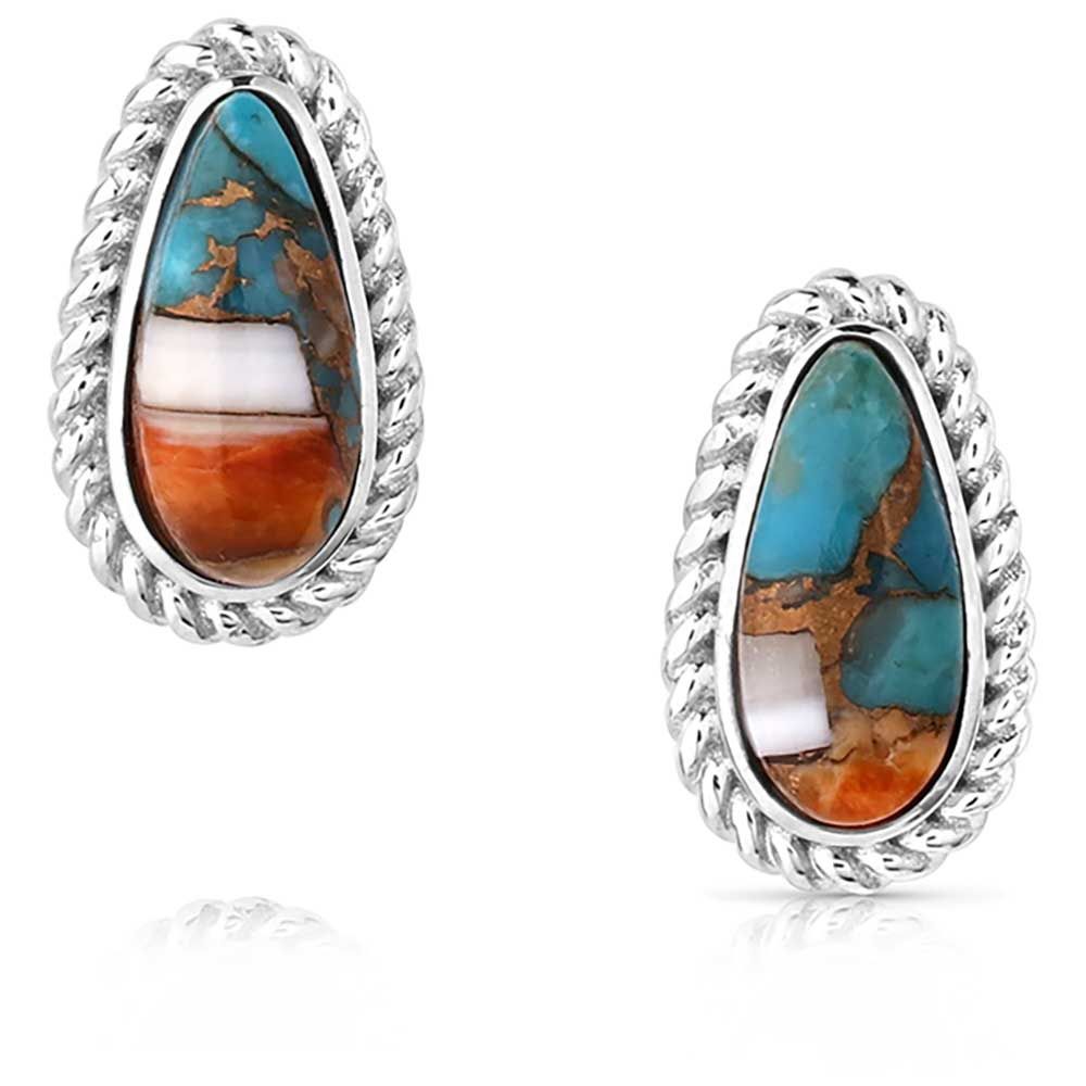 Montana Silversmith Earrings- Glacier Treasures