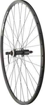 Quality Wheels Value Double Wall Series Rim+Disc Rear Rear Wheel - 700, QR x 135mm, Center-Lock, HG 10, Black, Clincher