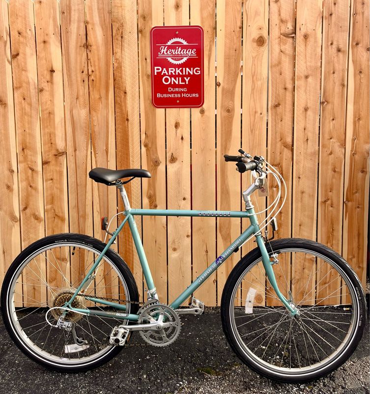 Used Raleigh CityLite, Blue, 21&quot;