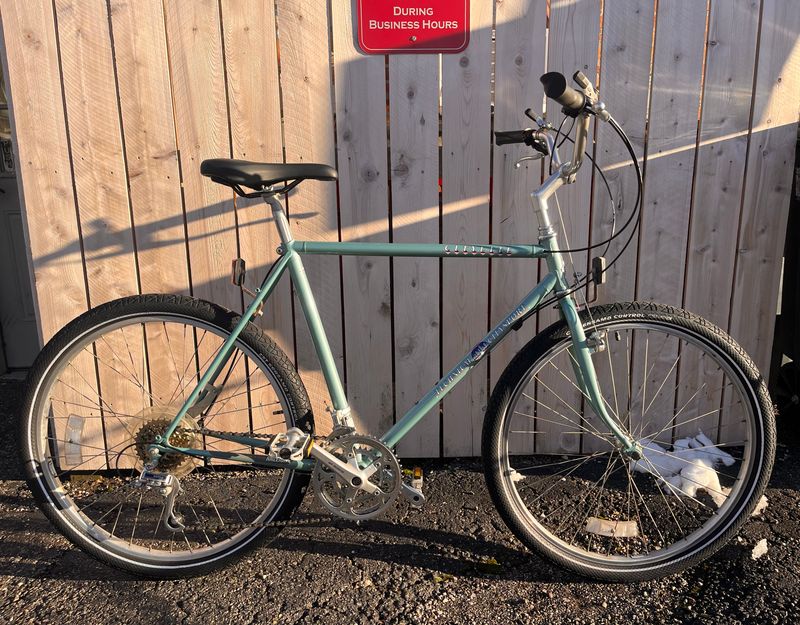 Used Raleigh Citylite, Teal, 21"