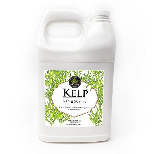 Age Old Kelp Gallon