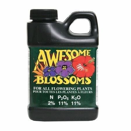 Technaflora Awesome Blossoms, 1 lt